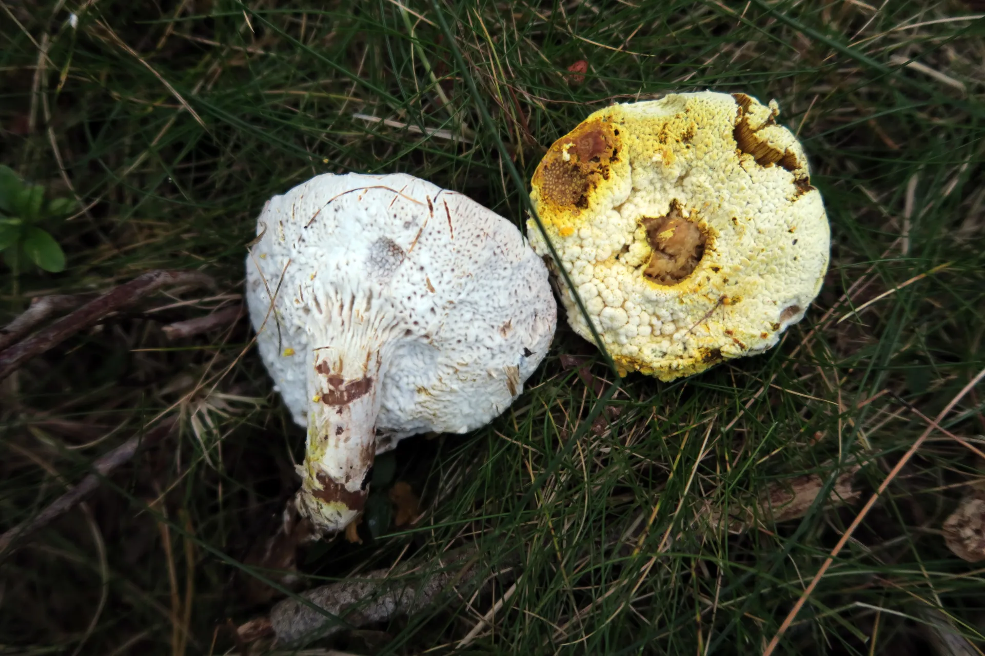 1 -